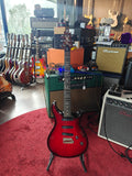 PRS 25th Anniversary 305