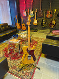 Fender and Squier Partscaster MIM Neck, Squier thinline body and Duncan Antiquity pickups